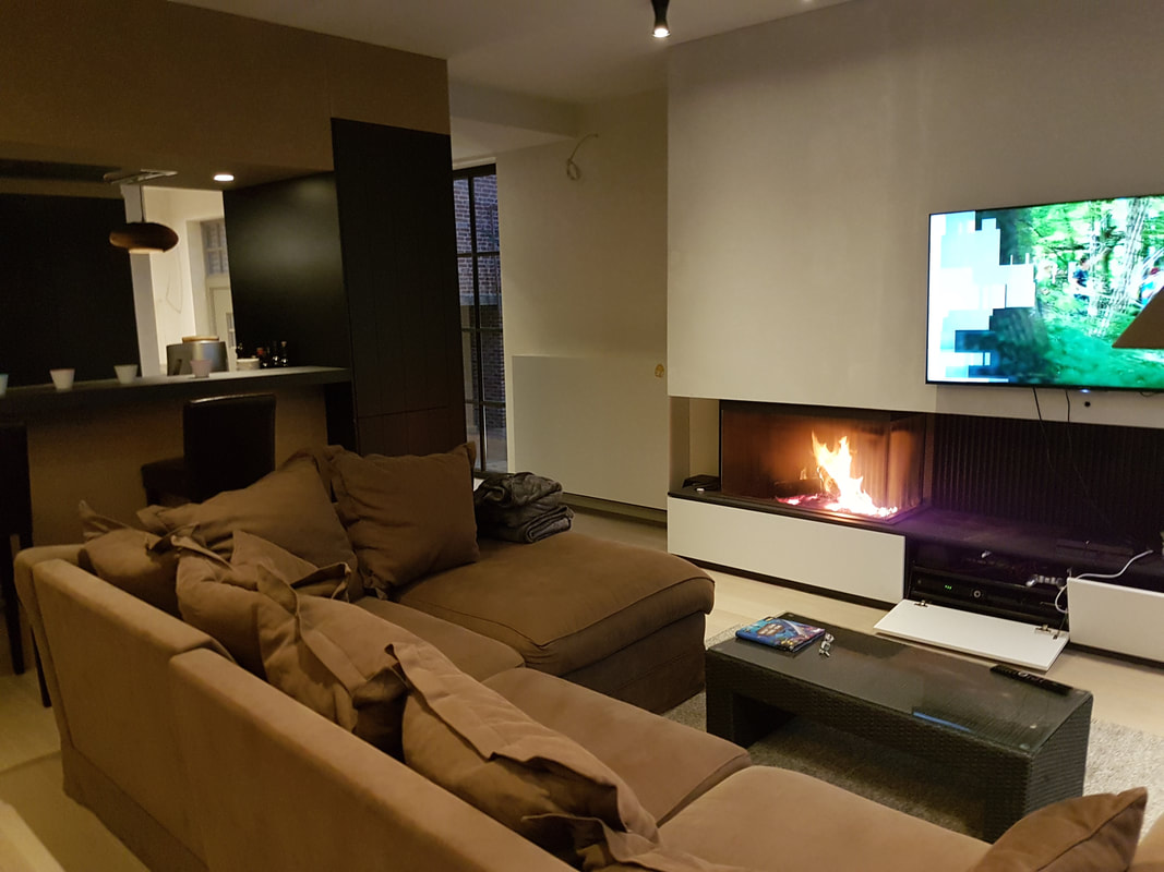 Living room with sofa and fireplace